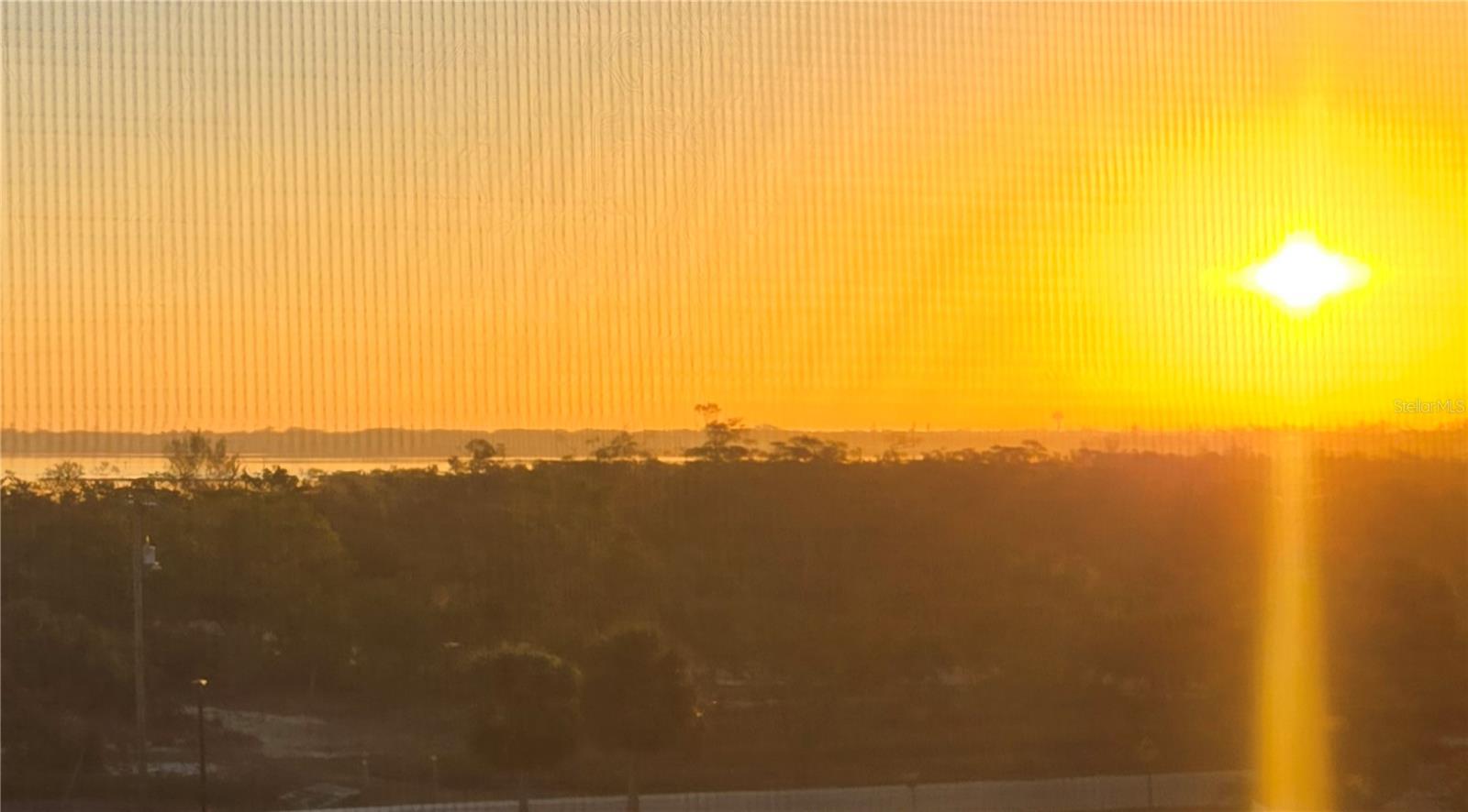 LIDO TOWERS - Residential Lease