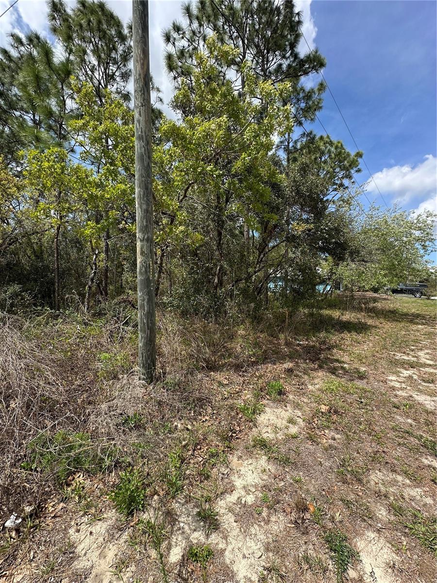 SUGARMILL WOODS CYPRESS VILLAGE - Land