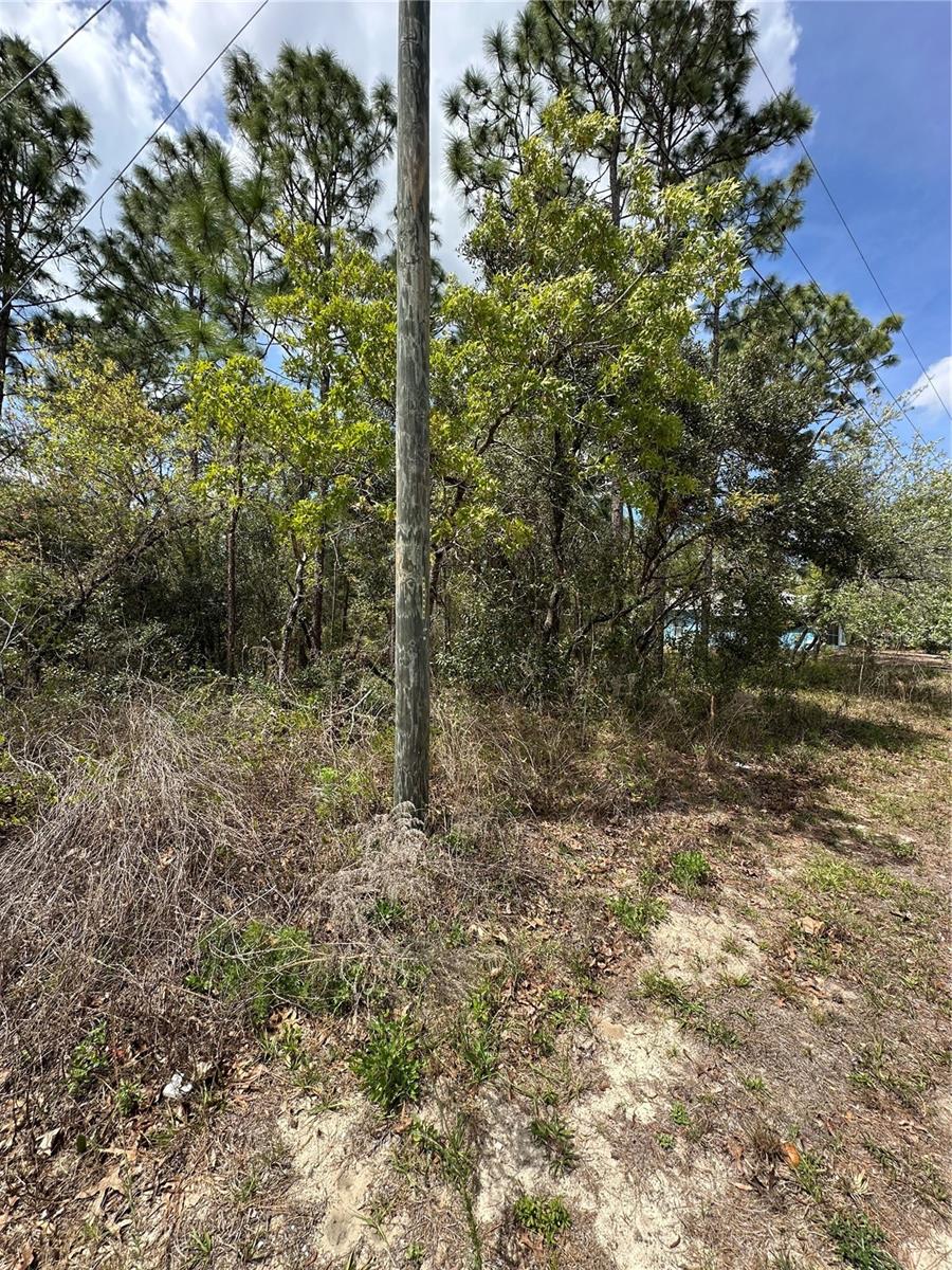 SUGARMILL WOODS CYPRESS VILLAGE - Land