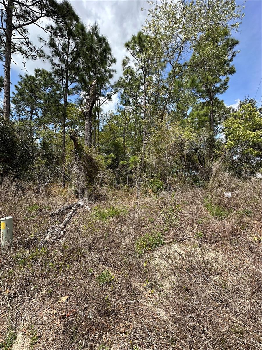 SUGARMILL WOODS CYPRESS VILLAGE - Land