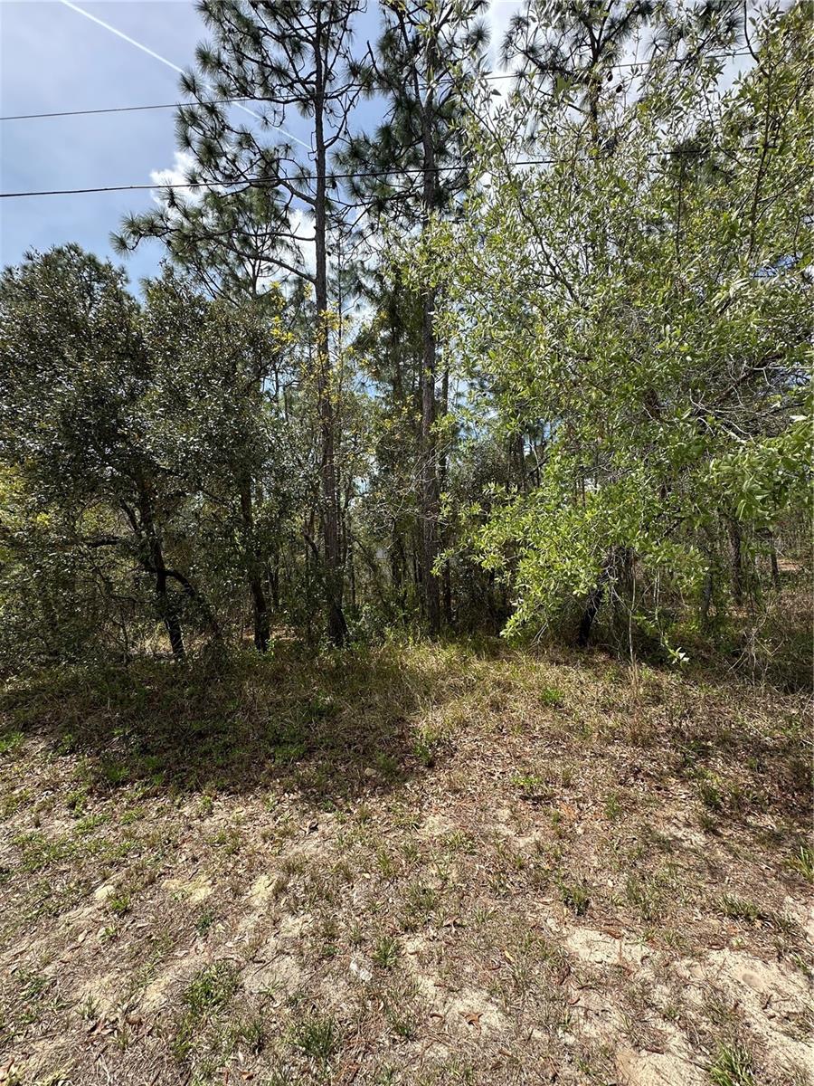 SUGARMILL WOODS CYPRESS VILLAGE - Land