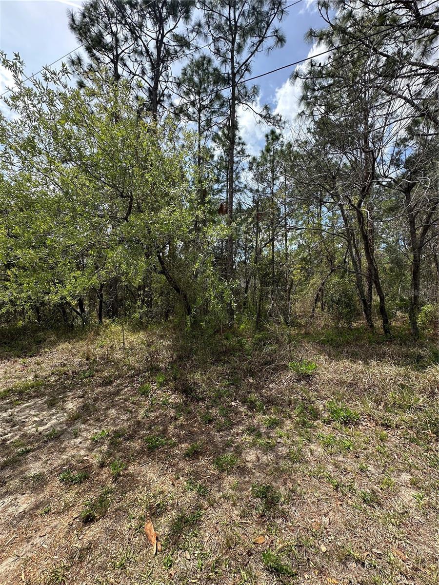 SUGARMILL WOODS CYPRESS VILLAGE - Land