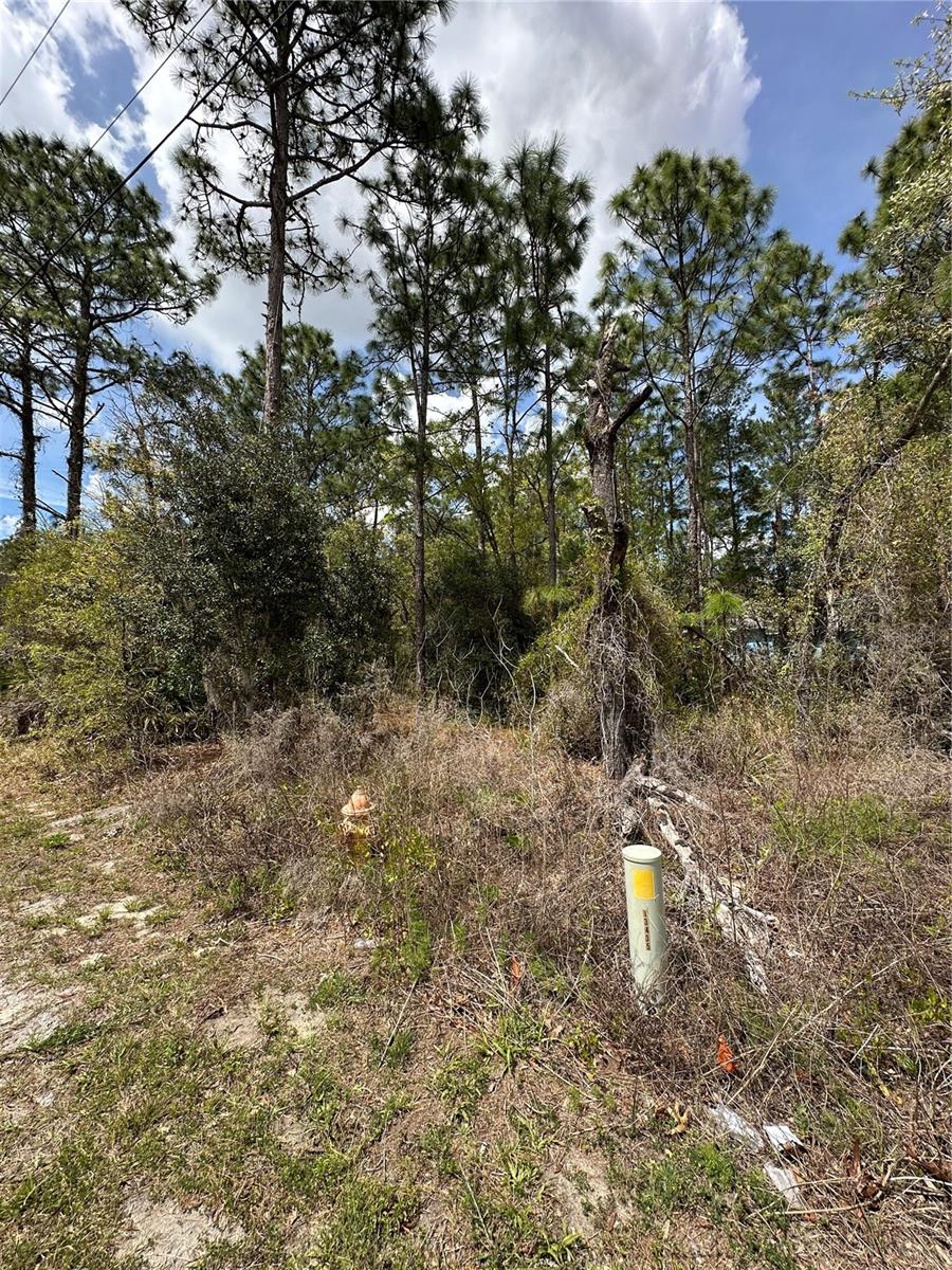 SUGARMILL WOODS CYPRESS VILLAGE - Land