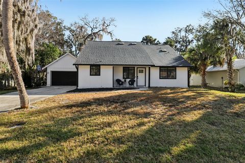 Photo of 2309 Kumquat Drive, Edgewater, FL 32141 (MLS # O6378662)