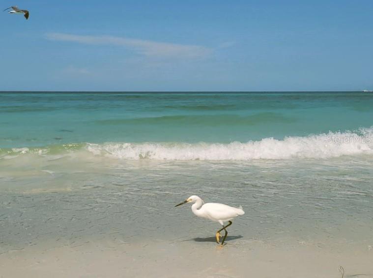 BAY LAKE ESTATES PH I - Residential