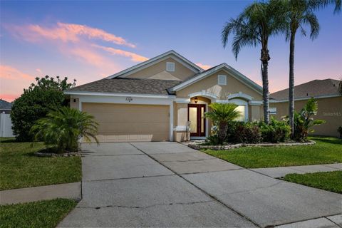 A home in LAND O LAKES