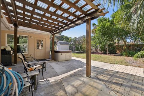 A home in MOUNT DORA