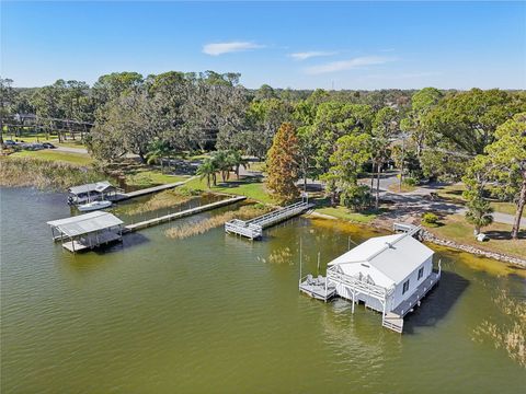 A home in MOUNT DORA