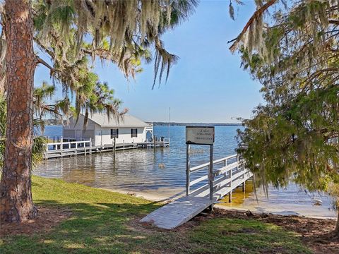 A home in MOUNT DORA