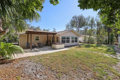 A home in MOUNT DORA