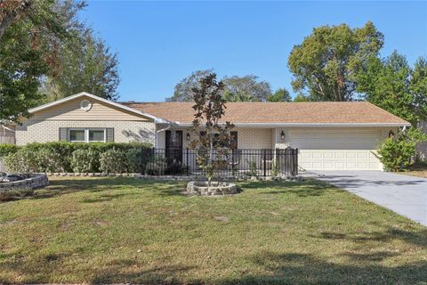 A home in MOUNT DORA