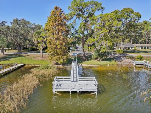 A home in MOUNT DORA