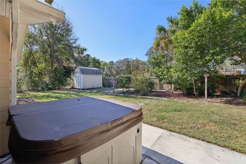 A home in MOUNT DORA