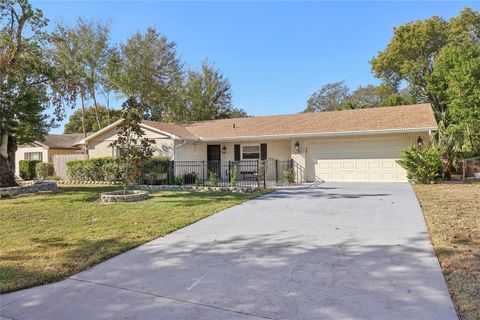 A home in MOUNT DORA