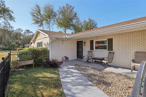 A home in MOUNT DORA