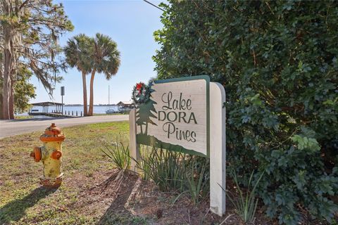 A home in MOUNT DORA