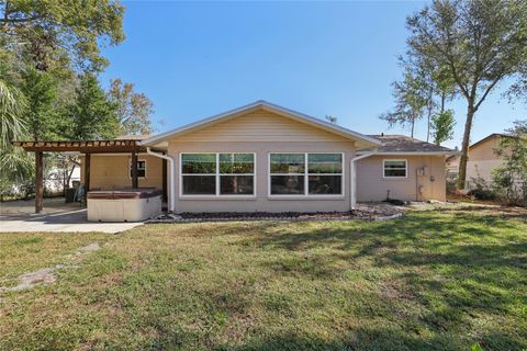 A home in MOUNT DORA