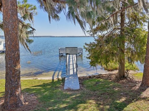 A home in MOUNT DORA