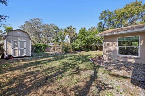 A home in MOUNT DORA