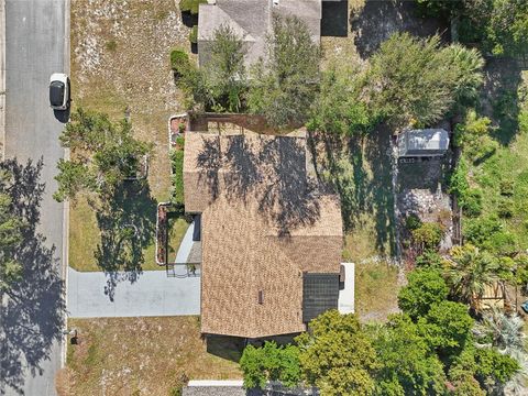 A home in MOUNT DORA