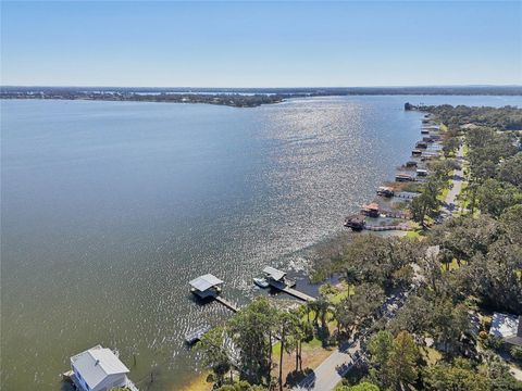 A home in MOUNT DORA