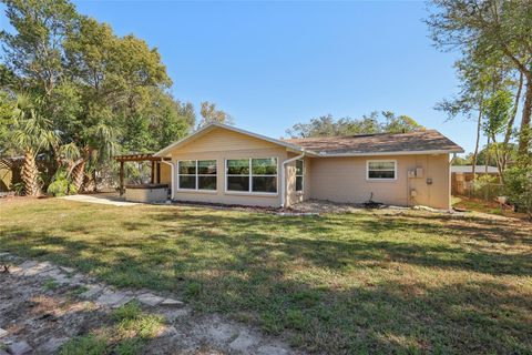 A home in MOUNT DORA