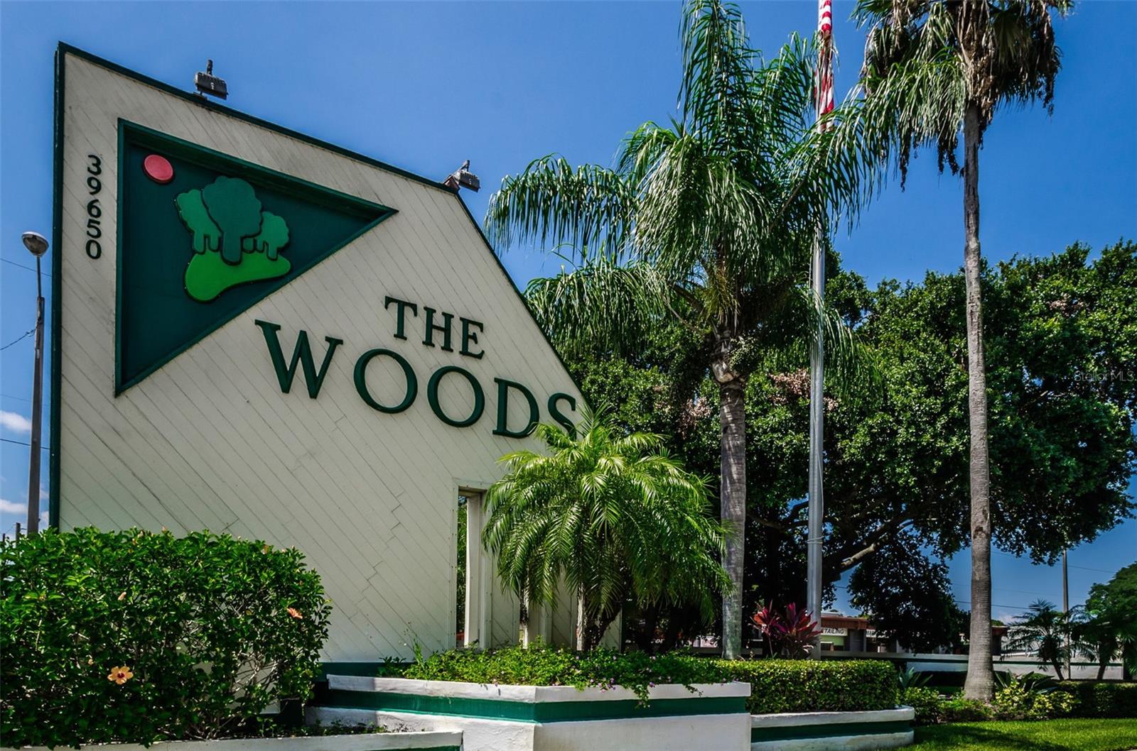 WOODS AT ANDERSON PARK - Residential