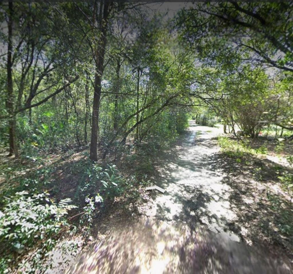 Photo of 5430 Basie Street, Zephyrhills, FL 33542 (MLS # TB8367888)