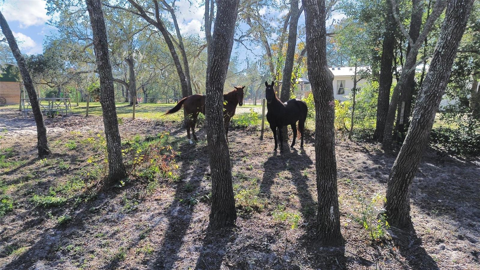 HIGHLANDS UNREC - Residential