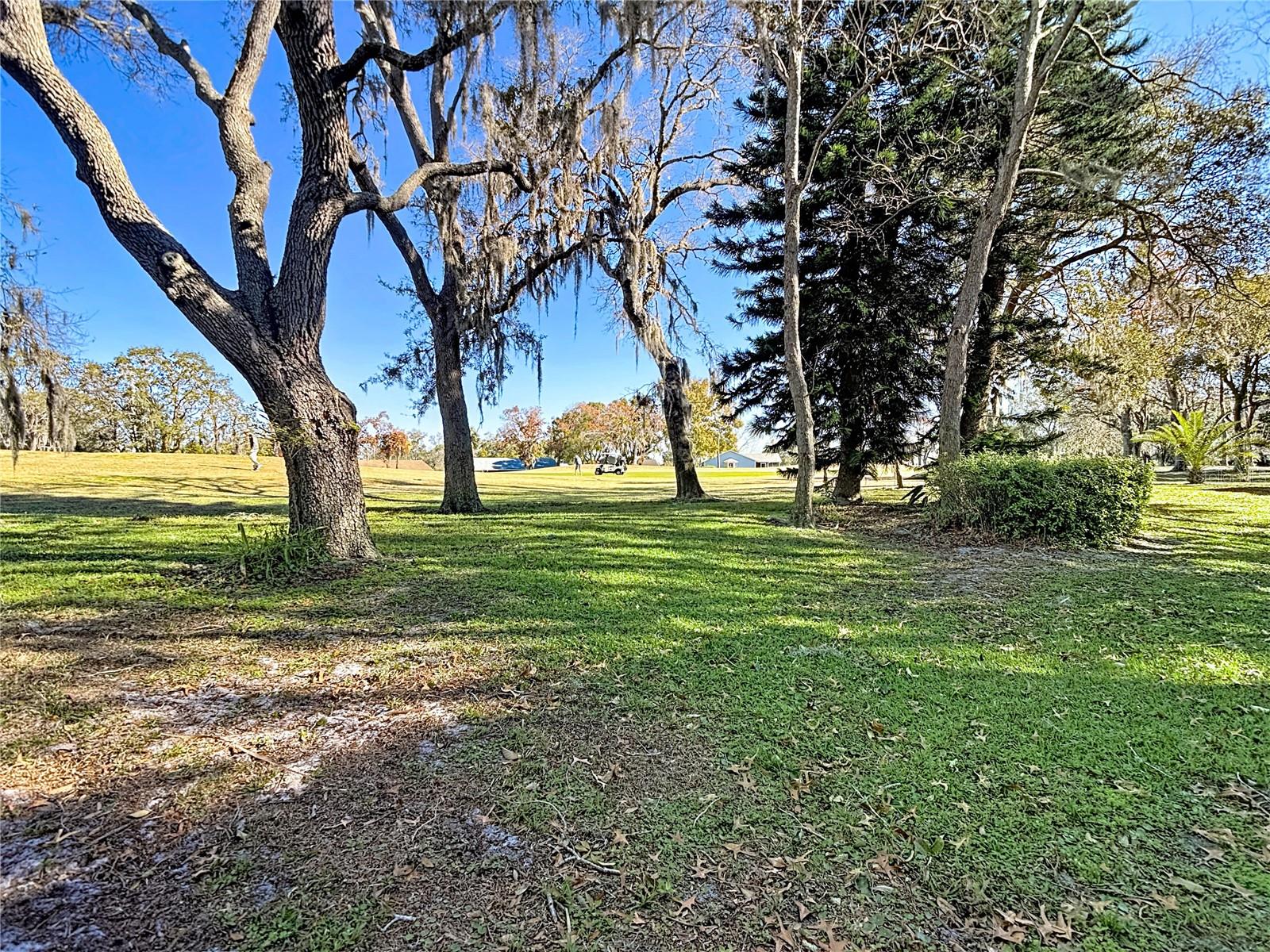 BEACON WOODS WEDGEWOOD CONDO - Residential