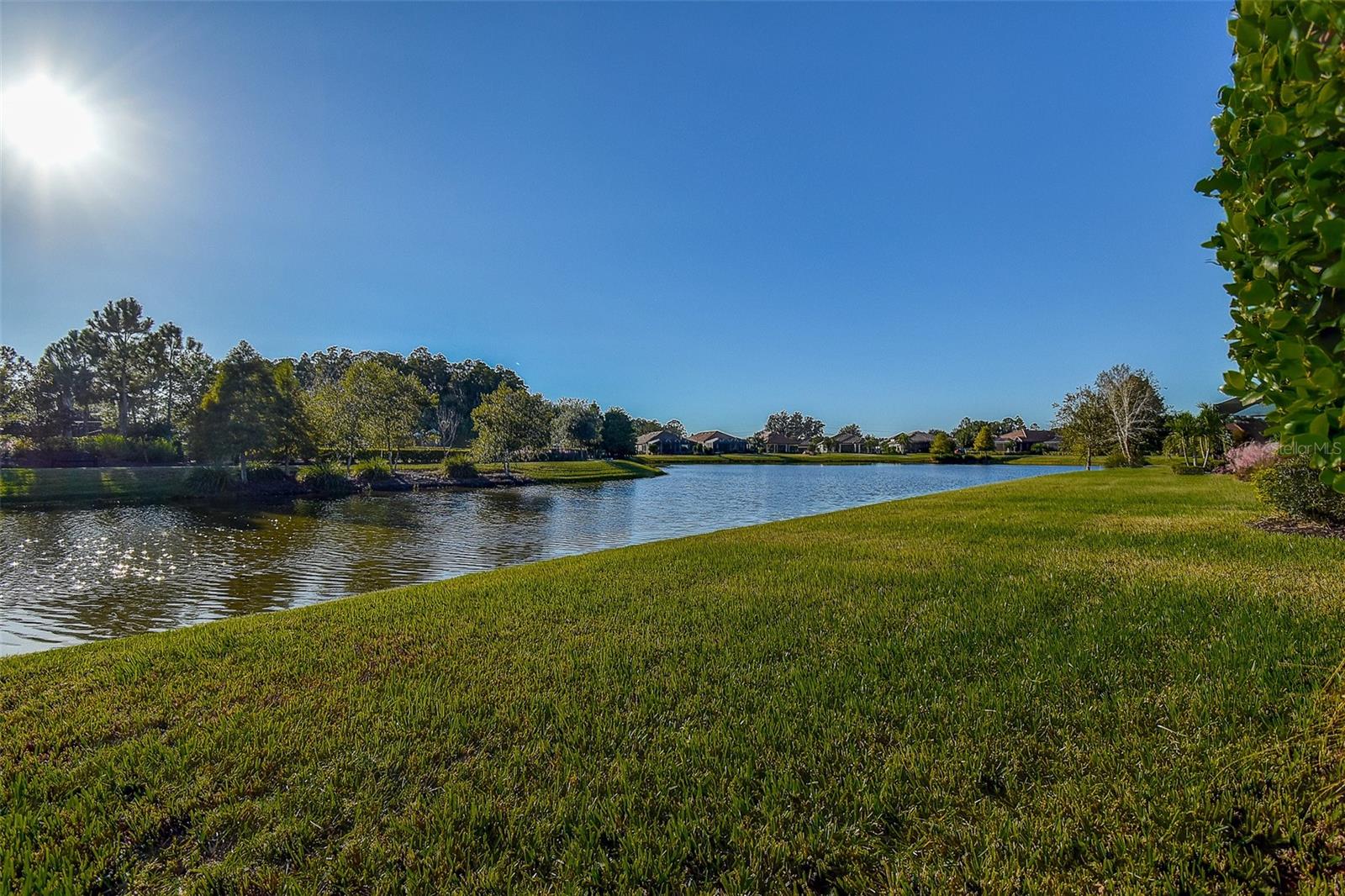 ESPLANADE/STARKEY RANCH PH 1 - Residential