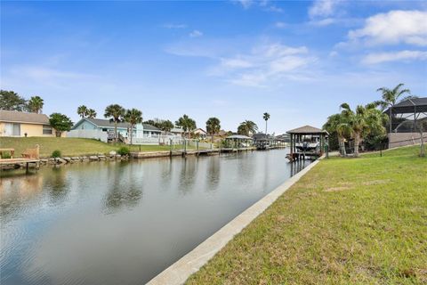 A home in PALM COAST