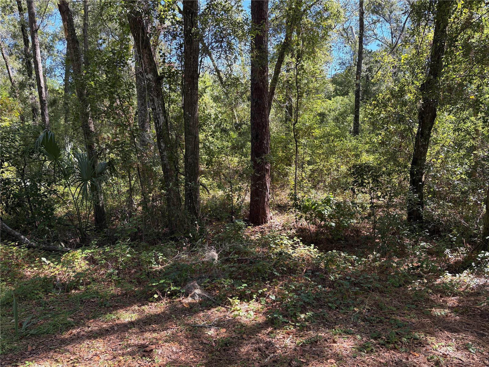 1228 CLOVER TERRACE