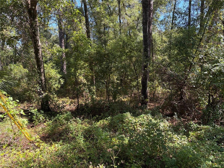 Photo 1 of 6 — 1228 CLOVER TERRACE, INVERNESS, FL 34452