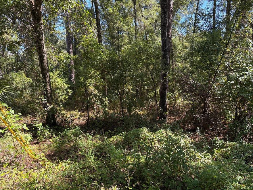 Build your dream home on this level, residential lot located in a non-flood zone—no flood insurance required! Ideal for new construction in a quiet, well-established neighborhood.
