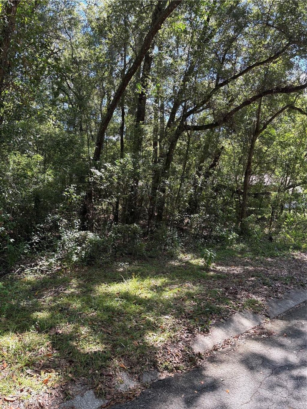 Photo of 1228 Clover Terrace, Inverness, FL 34452 (MLS # FC313423)