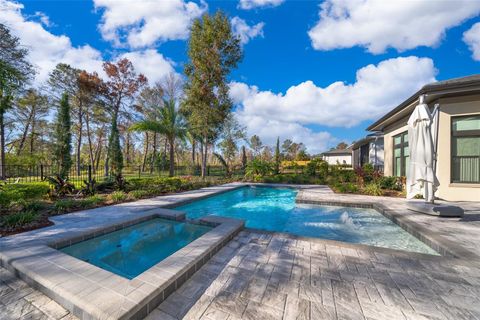 A home in MONTVERDE