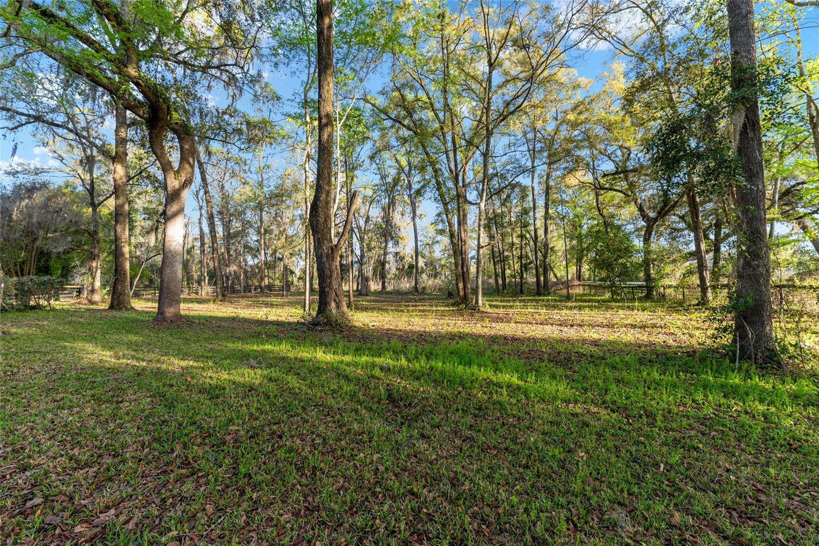 STEEPLECHASE FARMS - Residential