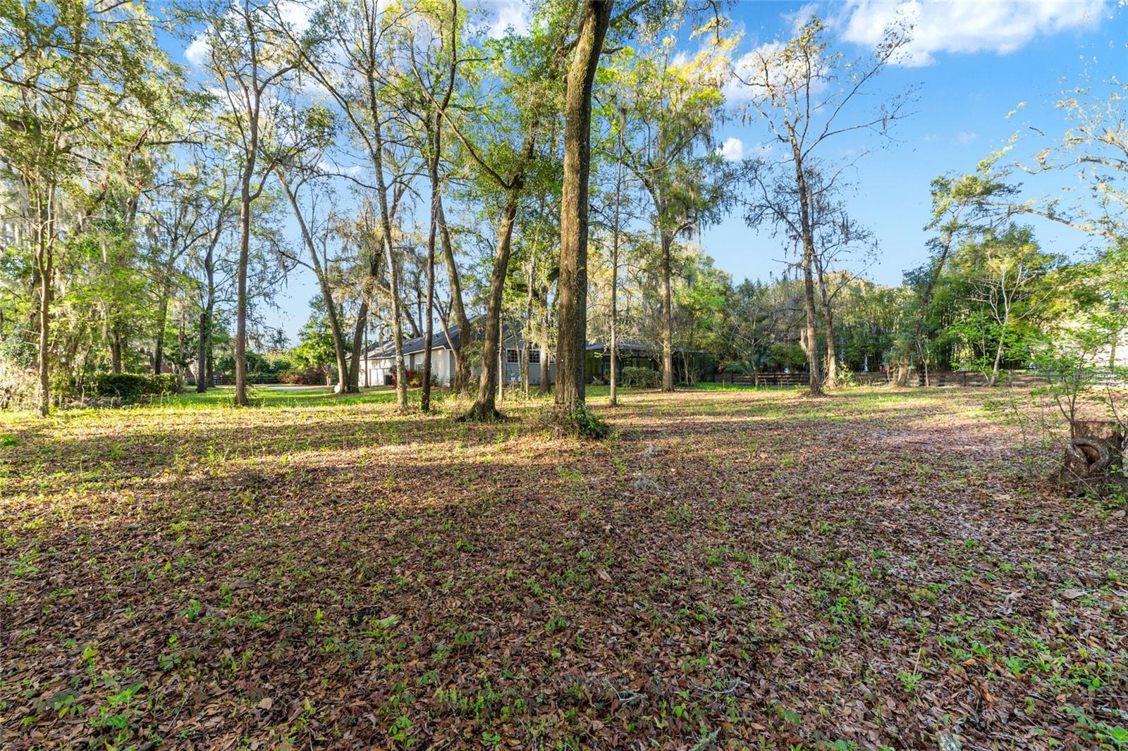 STEEPLECHASE FARMS - Residential