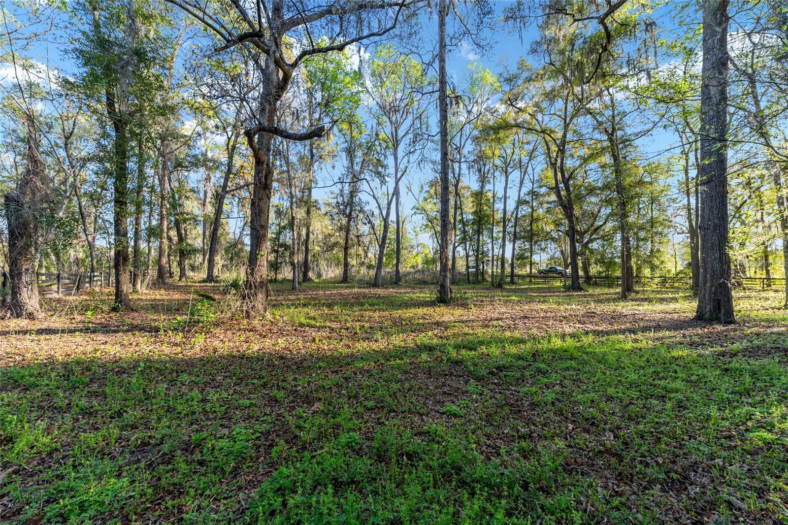 STEEPLECHASE FARMS - Residential