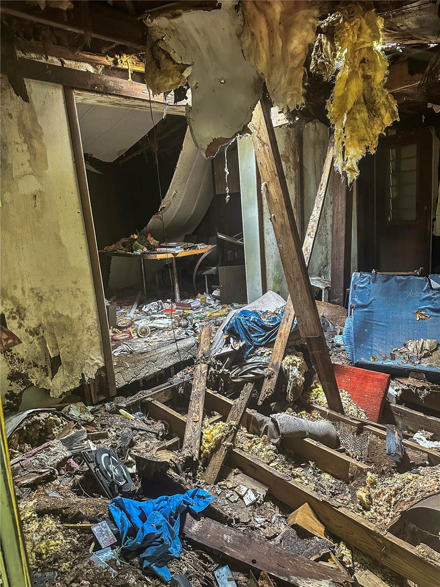 HIGHLAND FOREST - Land