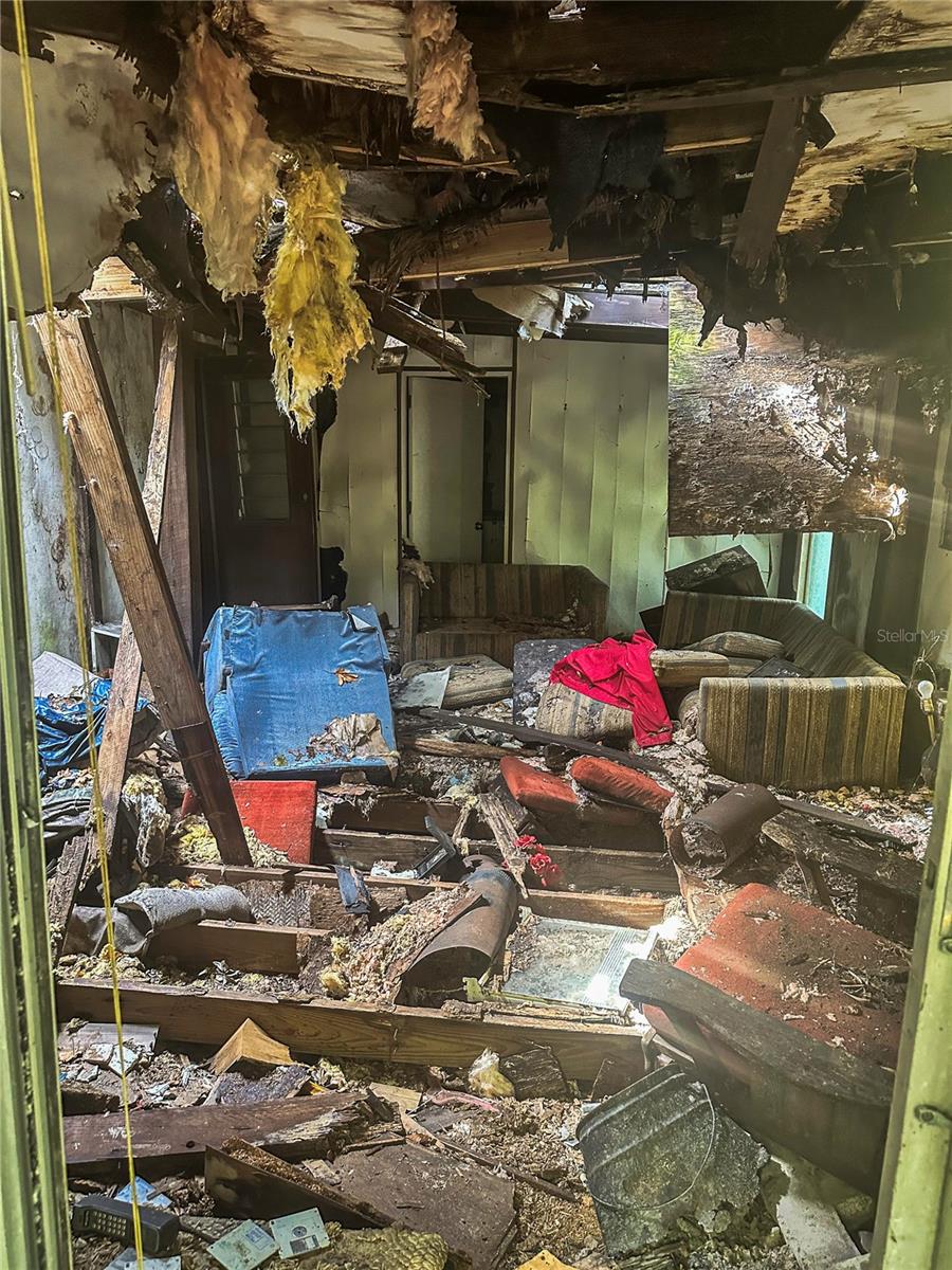 HIGHLAND FOREST - Land