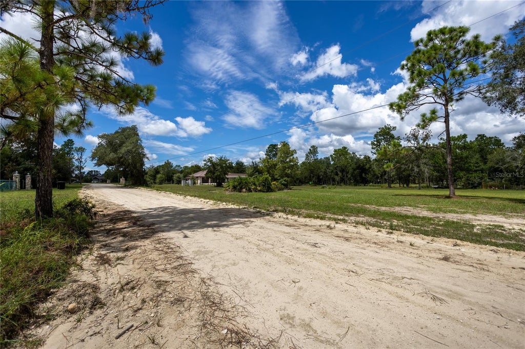 Photo of 11491 NE 109th Place, Archer, FL 32618 (MLS # GC543574)