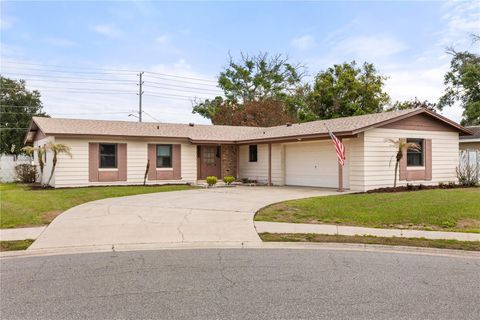 6523 PRECOURT DRIVE ORLANDO FL 32809