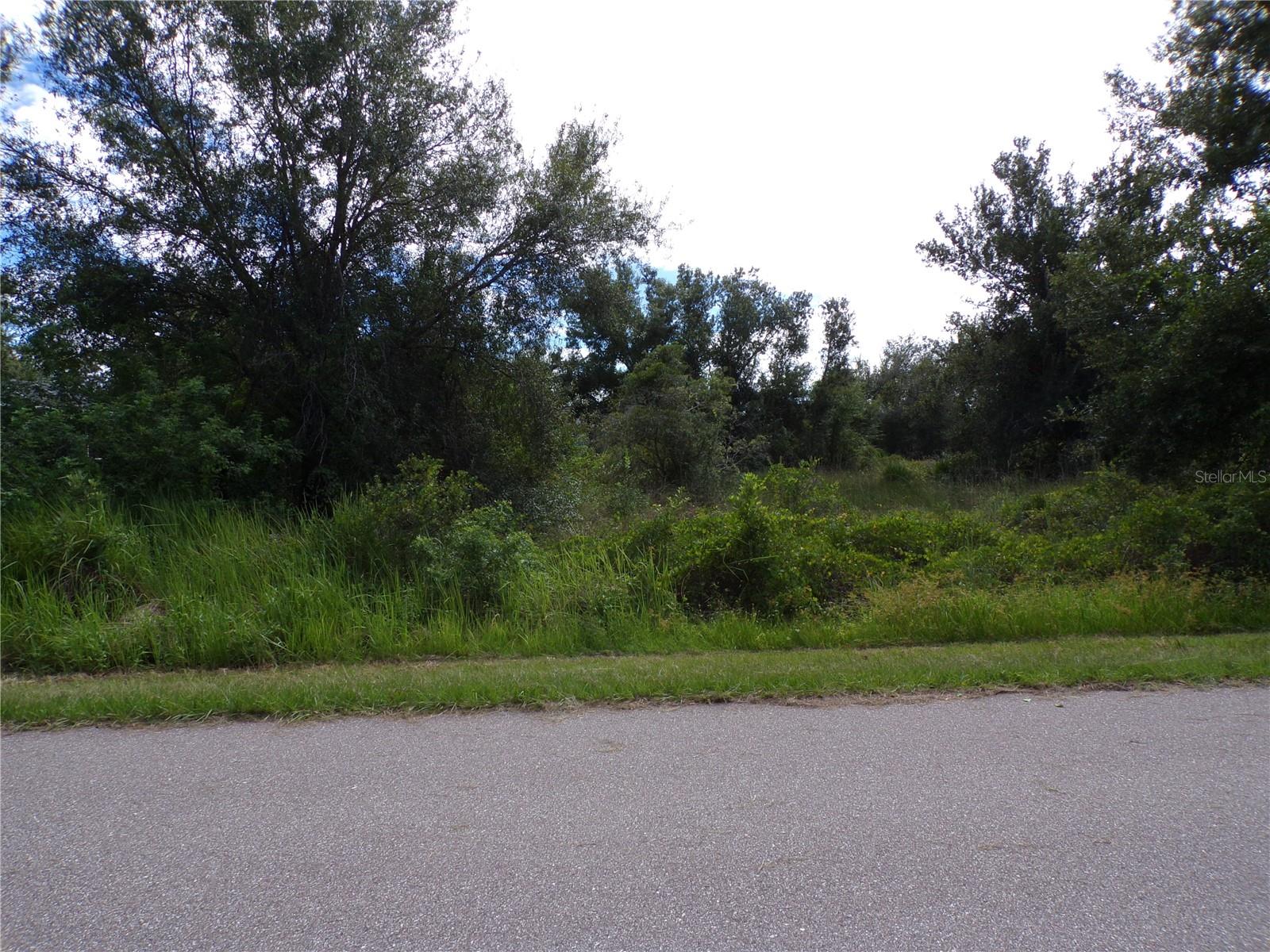 PEACE RIVER SHORES - Land