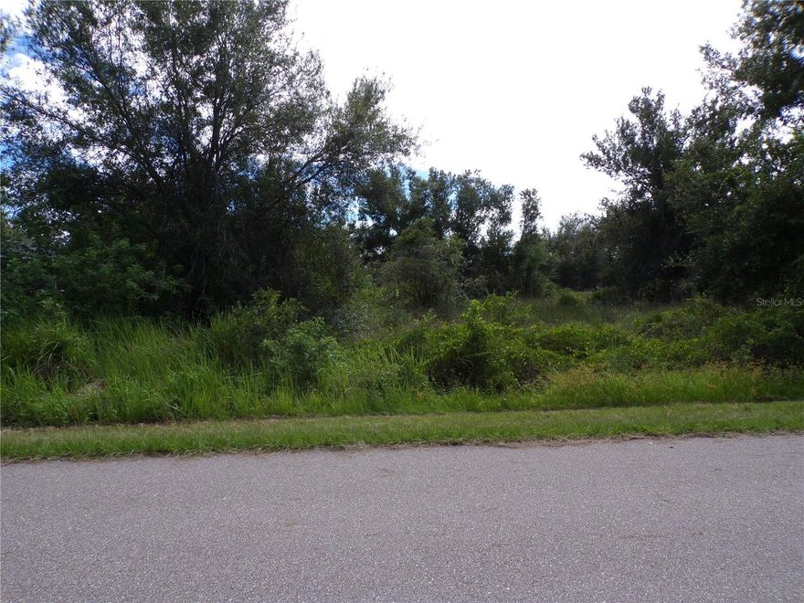 This lot is in the highly desired Flood Zone X, meaning no flood insurance is required. Tucked away on a quiet street, it’s the perfect place to build your dream home, whether you’re looking to retire or raise a family. Peace River Shores is a welcoming community in Punta Gorda, offering the best of both worlds: close to town, yet just far enough away to enjoy a peaceful, rural feel. The voluntary property owner’s association provides access to a clubhouse with community events, a lakefront park with fishing, picnic shelters, and grills. Members also enjoy a private boat ramp and dock with access to Jim Long Lake, which connects to the Peace River, Charlotte Harbor, and out to the Gulf of Mexico. Conveniently located, this property is less than 9 miles from I-75, making commuting a breeze. You’ll be just 14 miles from Ponce de Leon Park’s famous sunsets, 11 miles from Punta Gorda’s Historic District with its waterfront parks, dining, and shopping, and minutes from Tampa Bay Rays spring training and the fairgrounds. Multiple golf courses and some of the best boating and fishing in Florida are all nearby. Sports fans will love that Red Sox, Orioles, Twins, and Braves spring training facilities are within an hour’s drive. Buyer and buyer’s representative to verify environmental conditions and endangered species restrictions. This lot is priced to sell, don’t miss this opportunity! Call today for availability.