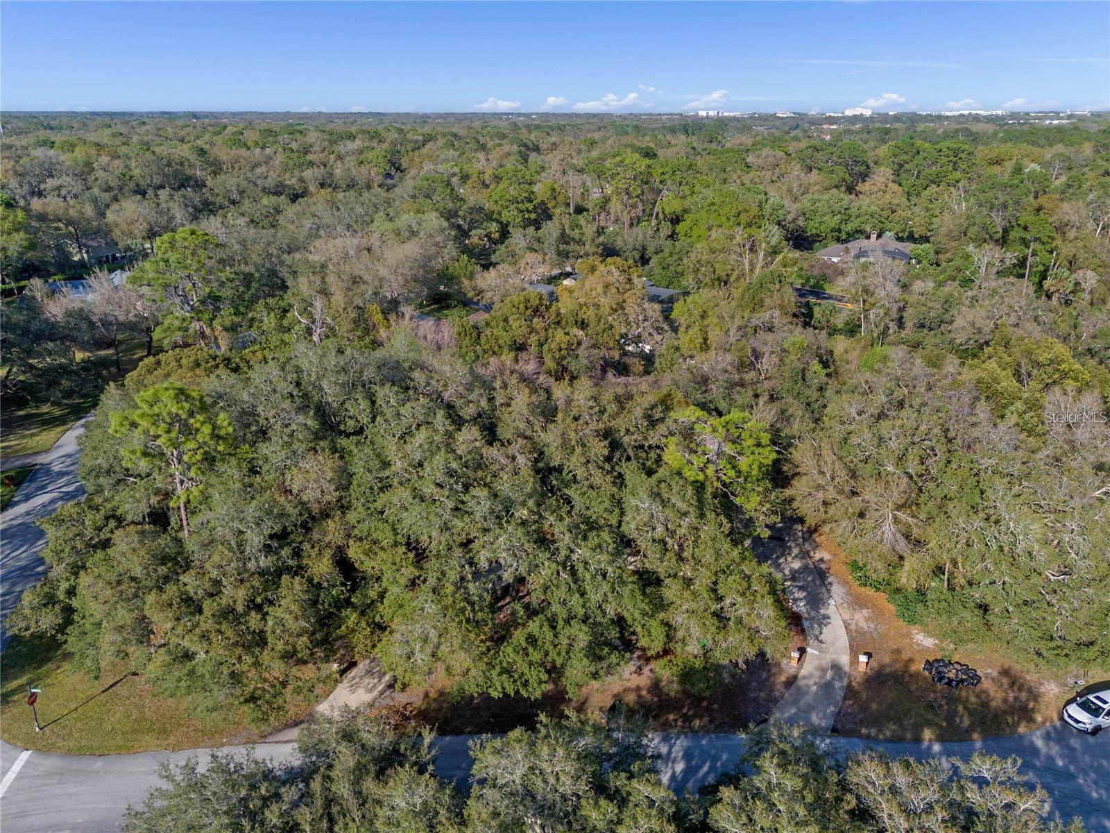 HANOVER WOODS - Residential