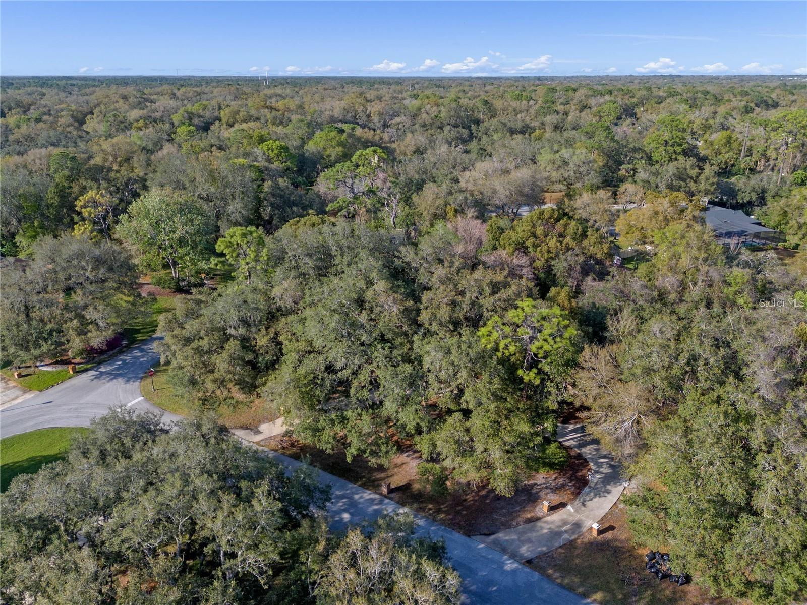 HANOVER WOODS - Residential