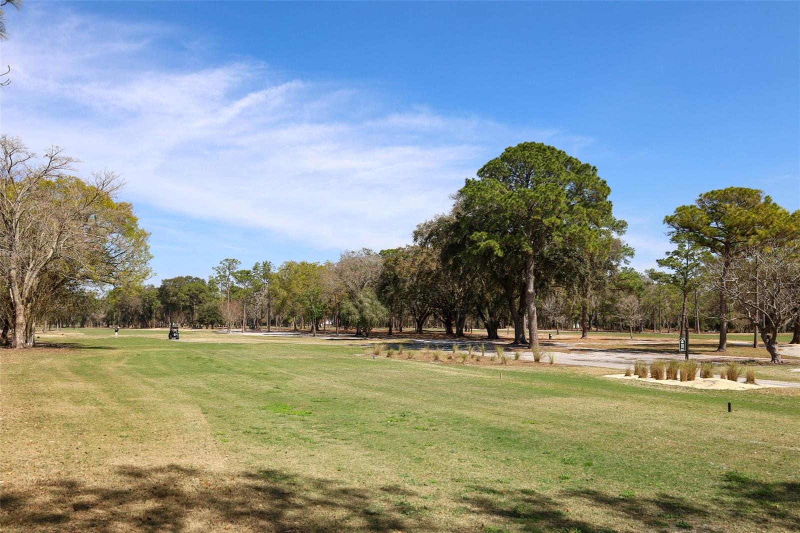 RIO PINAR ESTATES - Residential