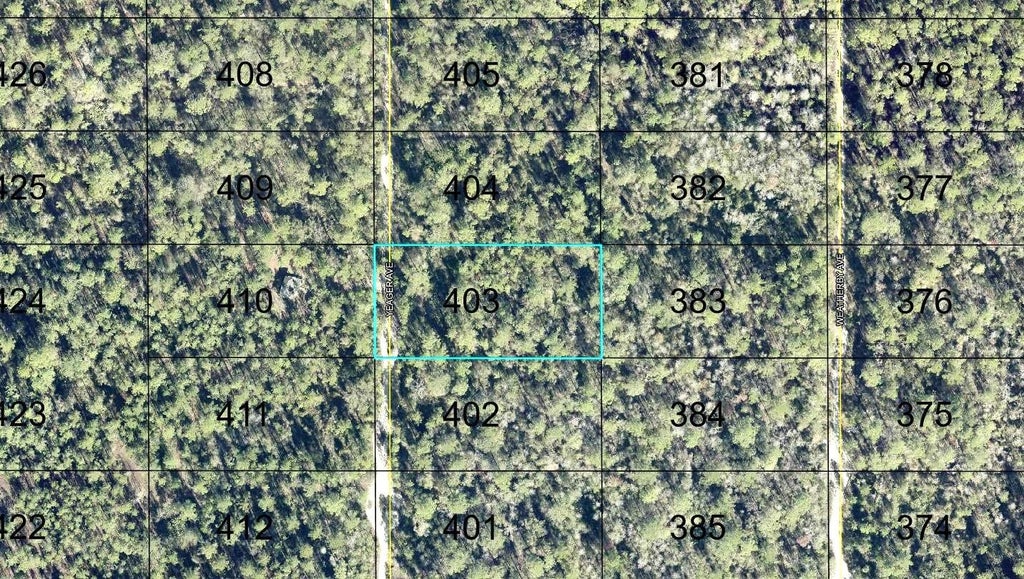Photo of 403 Yeager Avenue, Hastings, FL 32145 (MLS # FC321881)